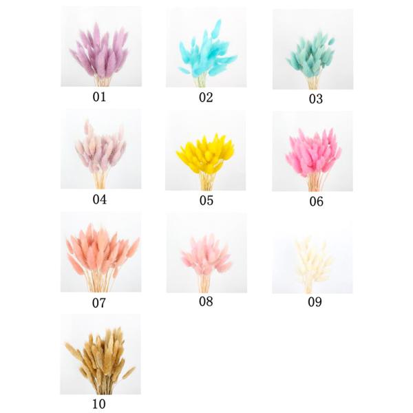 Real Touch Beautiful Dried Flowers Rabbit Tail Grass Preserved Lagurus Ovatus