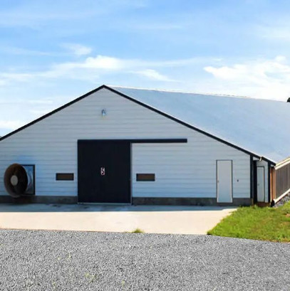 Quality Multifunctional Steel Frame Chicken Coop Lightweight Steel Frame Building Mould Proof wholesale