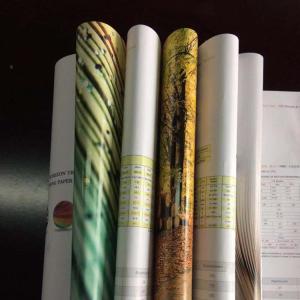 80-200gsm C2S/ Art Paper for Magazine Printing Brightness 92% Paper Type Writing