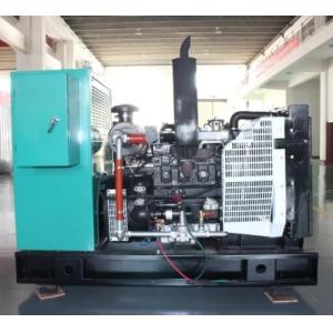 30kw 37.5kVA Revo Biogas Biomass Methane Generator For Agricultural Production