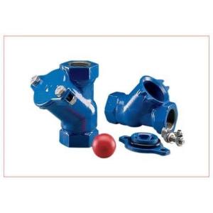 Thread End BSP NPT Ball Check Valve Ductile Iron With Epoxy Caoting Inner And