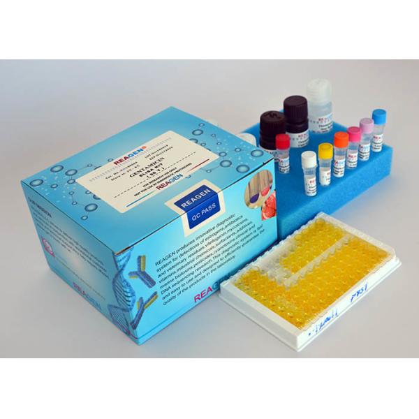 Quality High Sensitivity Chlormadinone ELISA Test Kit For Accurate Quantitative Detection wholesale