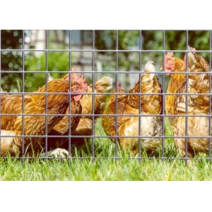 Electro Galvanized Welded Wire Mesh with 50M Roll Length and 0.5m Width for