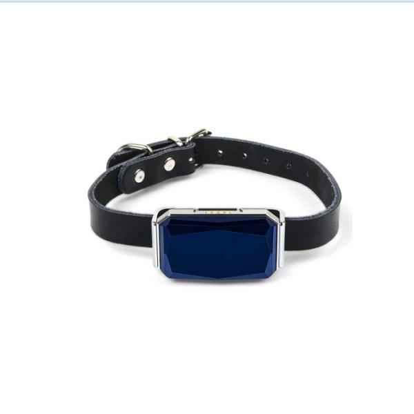 YTWL-100F GPRS 1900Mhz 120KM/H Ethiopia Speed Limiter