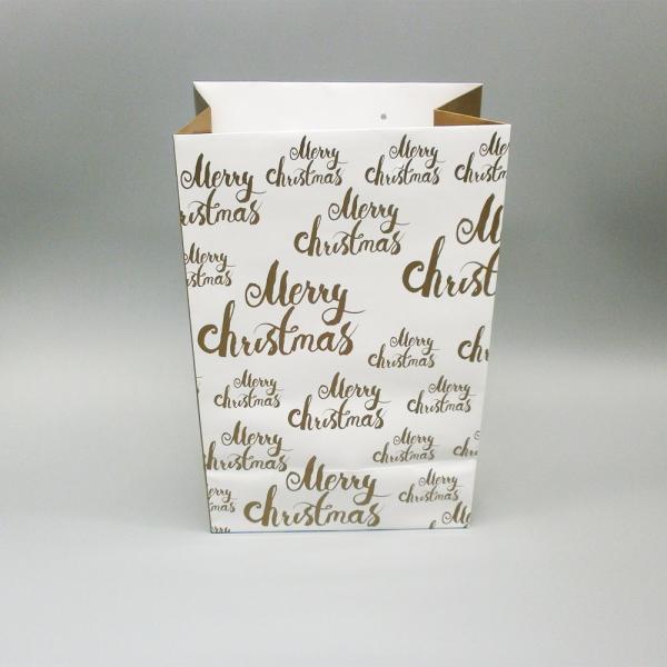 Christmas Recyclable Paper Gift Bag with Drawstring 10x12in