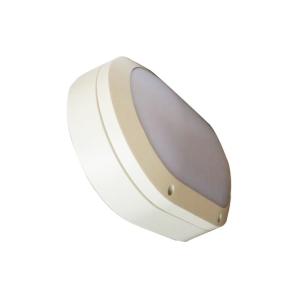 Osram 6000K Wall Mount Outdoor LED Ceiling Light With Die Cast Alumium Body