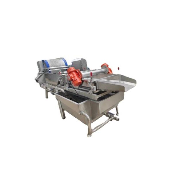 Automatic Fruit and Vegetable Wool Roller Bubble Cleaning and Drying Production