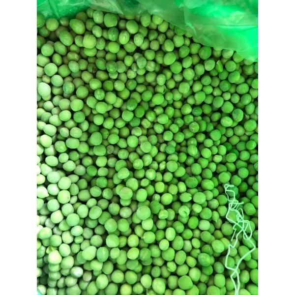 Fresh New Crop IQF Forzen Green Peas