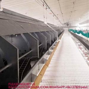 40mm Slatted Floor System In Poultry, PP Slatted Floor System, Plastic Floor For