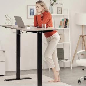 Adjustable Electric Standing Desk for Home Nordic Luxury Mid Century Modern