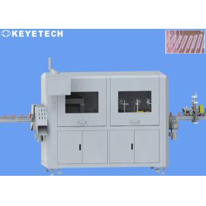 Paper & Plastic Straw Defects Detection Machine with Auto Labeling Device