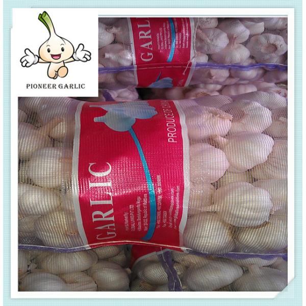 Quality 2016 New Crop Chinese Garlic /fresh garlic bulk New Crop Fresh Red Garlic wholesale