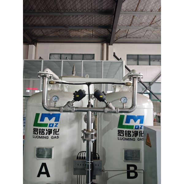 High-Purity Medical Oxygen–LuoMing's Premium Generator for Large-Scale Hospital