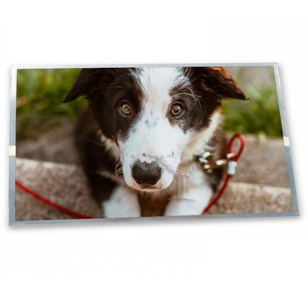 Quality G150XVN01.0 30 Pins LVDS 15 Inch 1024*768 WLED Brightness 300nits TFT Lcd Modules wholesale