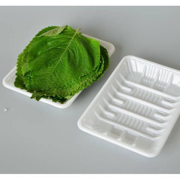 Quality White PP 18*13*2.5cm Disposable Vegetable Trays wholesale