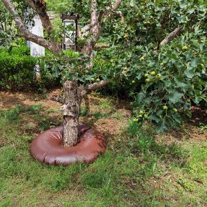 UV Resistant Water Saving Ring for Trees Shrubs and Plants 250-3500grams CE