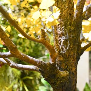 Evergreen Artificial Ginkgo Tree Natural Color Outdoor Anti UV Plants