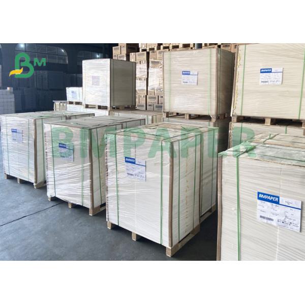 cup base paper 230gsm + 18gsm PE Waterproof White Ploy Coated FDA Certified Cup Base Paper