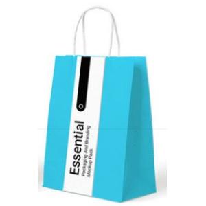 Embossed Printing Paper Bag 250gsm Printed Paper Carrier Bags