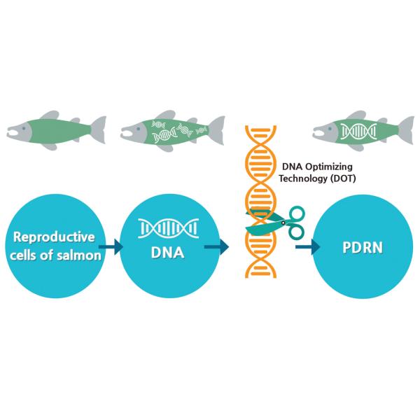 Hyamely PDRN Skin Booster Removing Scars Pores Acnes Anti Aging