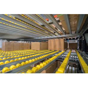 ACERACK Gravity Roller Racking , Flow Through Racking System For Warehouse