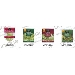 2000 kg/h Capacity Vegetables and Fruit Soaking Washing Machine for Thorough