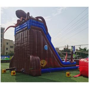 Octopus Inflatable Water Slide Small Pool Backyard Inflatable Water Slide For