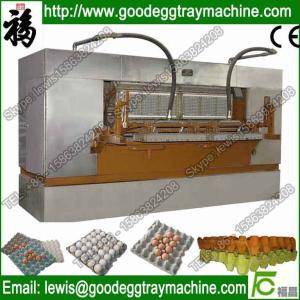 Cheap Automatic Chicken Egg Dish Making Machine Quality Egg Tray(FC-ZMG6-48) for sale