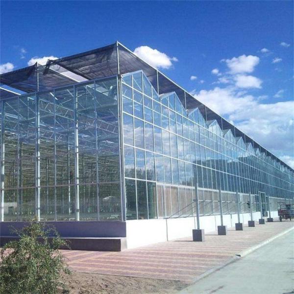 Quality Glass Multi Span Greenhouse Tropical Solar Hydroponic Flower Vegetable Growing wholesale