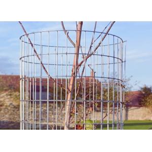 Cheap Spot Welding Technique Welded Wire Mesh with Customizable Width and Electro Galvanized Surface for Durable Protection for sale