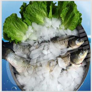 1 Mm To 2 Mm Flake Ice Machine / Flake Ice Making Machine For Fishery Meat