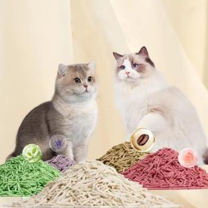 Popular Supplier Cat Products Odor-Free Highly Absorbent Tight Clump Structure