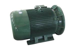 China 8 Pole Three Phase Asynchronous Motor With Cast Iron Motor Body For Food Machine on sale