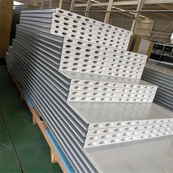 Quality Class A Fireproof Cleanroom Wall Panel Waterproof Customizable wholesale