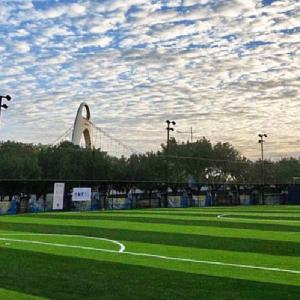 Premium 10000 Dtex Artificial Soccer Grass with 10-Year Warranty and 3/8 Inch