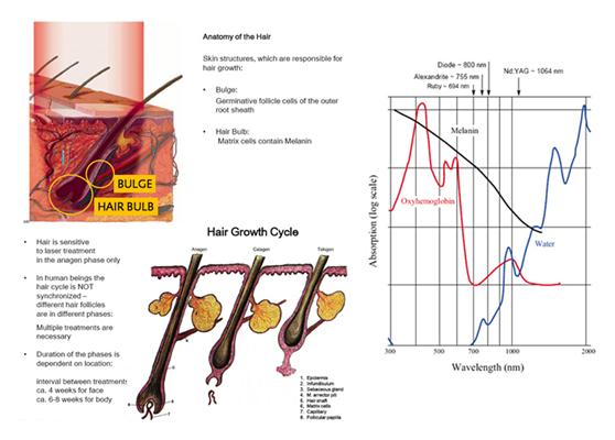 Fda Approved 808nm Diode Laser Hair Removal Beauty Machine