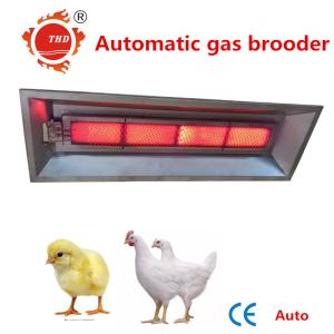 Cheap Poultry NG LPG Natural Gas Heat Lamp For Chicks THD6808 Auto Ignition for sale