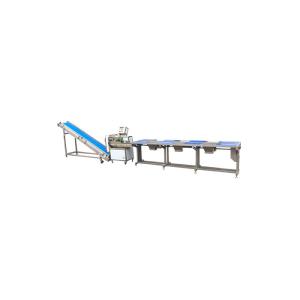 3T Leaf Salad Vegetable Washing Processing Line Customized