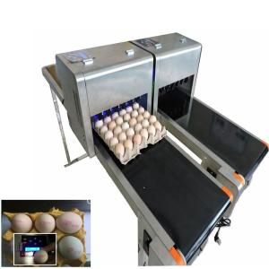 High Speed Egg Date Stamp Machine , Industrial Continuous Inkjet Printers