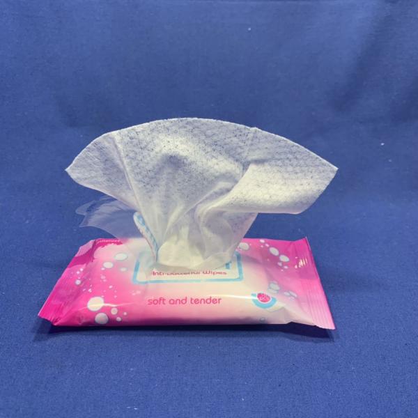 Single Use Woman Wet Tissue Skin Cleansing Restaurant Wet Wipes Self Seal