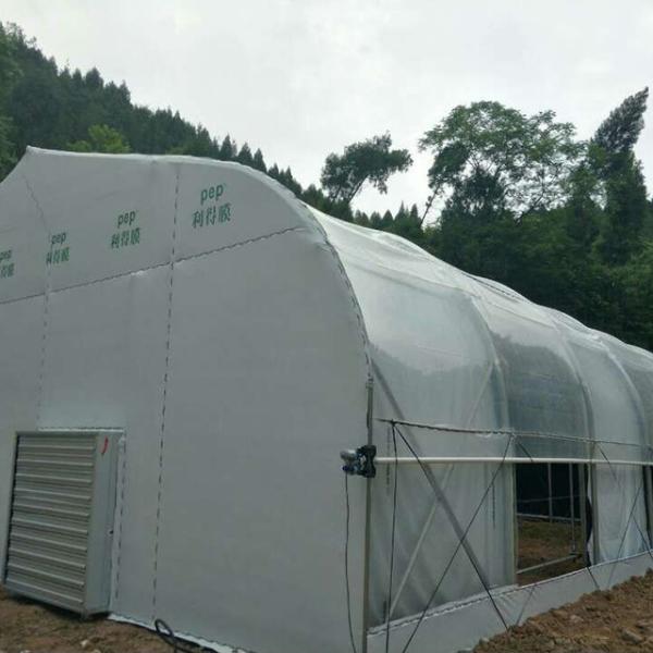 Quality Customized Heating Equipment Blackout Film Greenhouse for Herb and Mushroom Farming wholesale