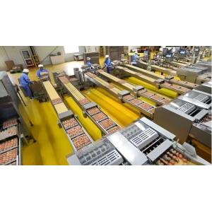 Industrial Chicken Egg Washing Machine Automatic Chicken Egg Processing Line