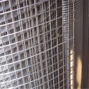Rust Proof Galvanized 50*50mm Welded Wire Mesh Fence 1/4 Inch Hole Square Steel