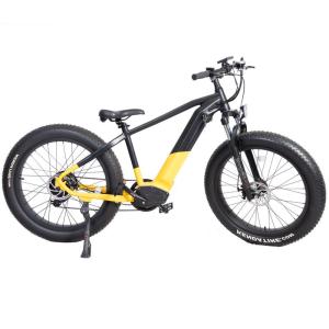 Cheap Customized Dual Motor Electric Mountain Bike with Central Motor and Max Speed 50km/h for sale