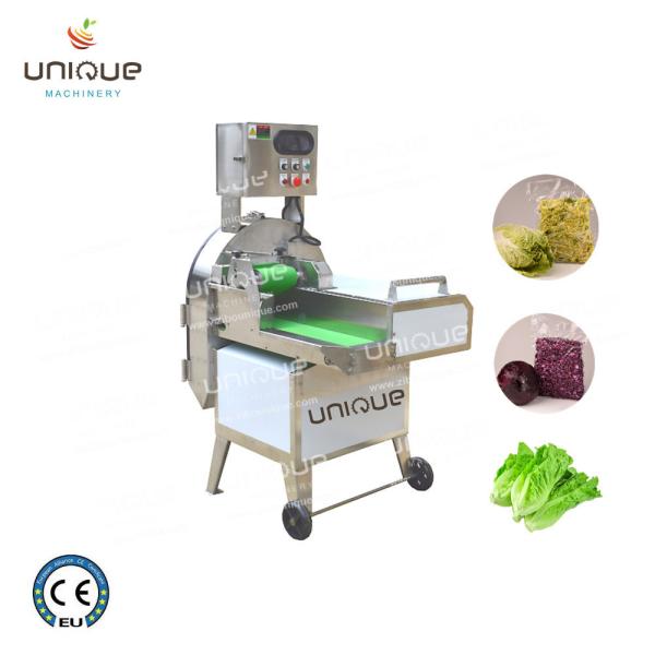 Quality Professional Salad Leaf and Herbs Cutting Machine for Versatile Vegetable Cutting wholesale