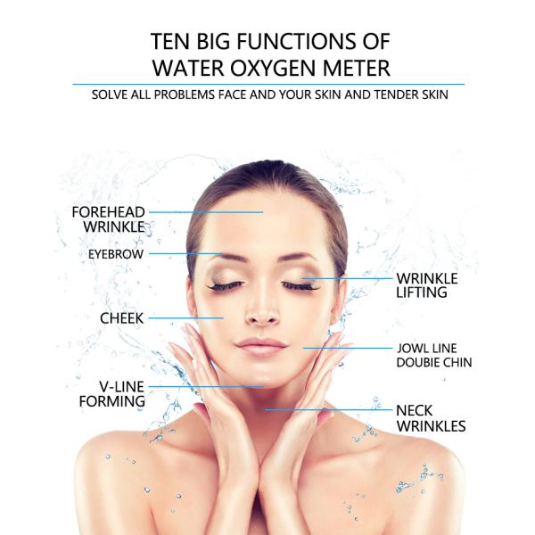 Multifunctional 10 in 1 facial care skin Moisturizing hydra oxygen mask jet peel skin facial care machine
