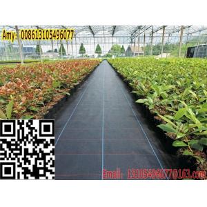 2016 export American polypropylene geotextile /weed control cover and weed barrier