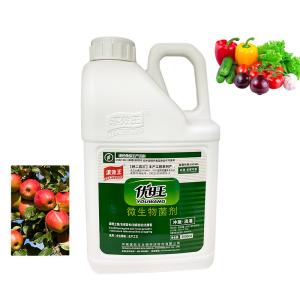 Cheap Water Soluble Microbial Liquid Organic Fertilizer For Promoting Growth And Soil Conditioner for sale