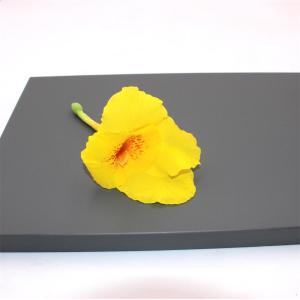 Soft Touch PET Laminated MDF Panels