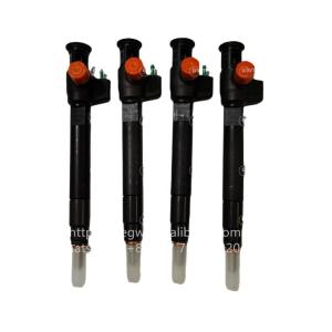 Cheap Common DELPHI Diesel Fuel Injectors 9674984080 DS7Q-9F593-BB 28319895 28388960 28602948 for sale